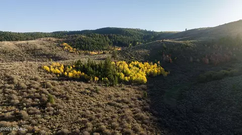 Pescadero Road, Montpelier, ID 83254