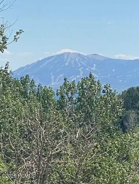 2684 S Forest Meadow Rd #FM-C-86-A-AM, Coalville, UT 84017