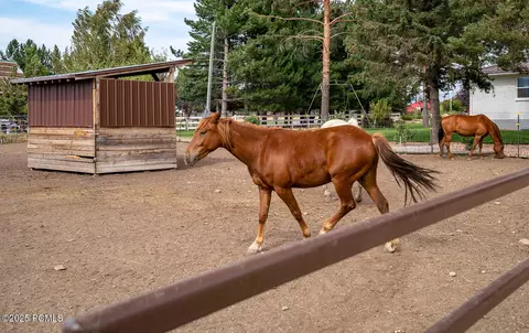 3400 S Big Hollow Rd, Daniel, UT 84032 photo 56