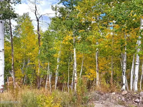 4519 S Fawn Way #2051, Heber City, UT 84032