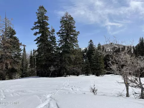 2271 Deer Loop #46, Coalville, UT 84017