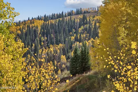 Other - 95 Black Diamond Rd, Helper, UT 84526 photo 10 of 15