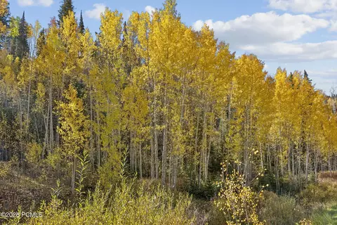 Other - 95 Black Diamond Rd, Helper, UT 84526 photo 11 of 15