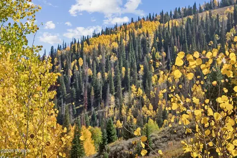 Other - 95 Black Diamond Rd, Helper, UT 84526 photo 12 of 15