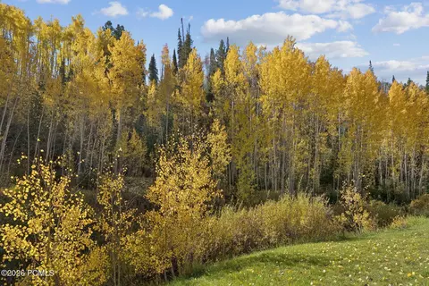 Other - 95 Black Diamond Rd, Helper, UT 84526 photo 7 of 15