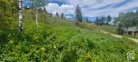 1920 W Elk Rd, Coalville, UT 84017