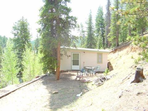 213 Brown St, Bailey, CO 80421 photo 1