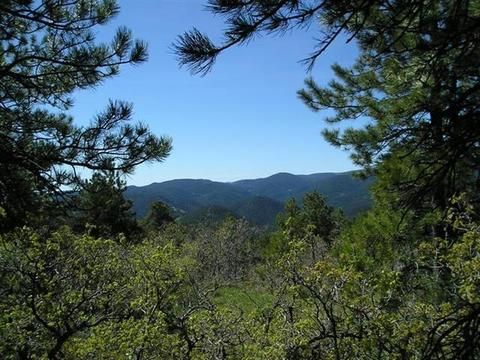 67 W Ranch Trl, Morrison, CO 80465 photo 1