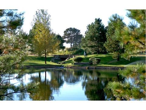 11880 Pony Express Rd, Elbert, CO 80106 photo 6