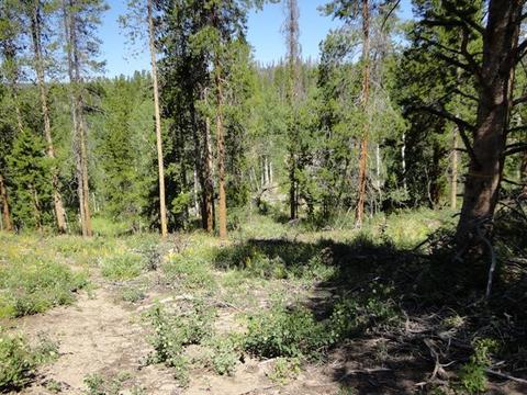 646 Wolverine Way, Tabernash, CO 80478 photo 1