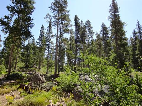 701 Wolverine Way, Tabernash, CO 80478 photo 1