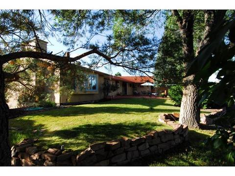 3039 Haystack Rd, Castle Rock, CO 80104 photo 1