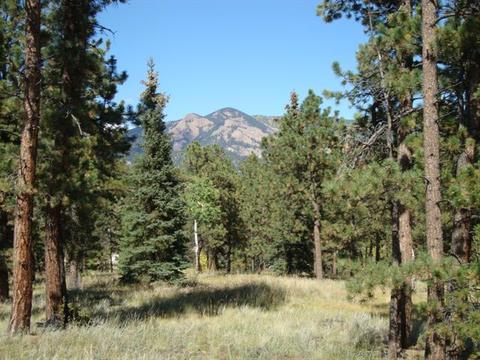 33 Territory Dr, Pine, CO 80470 photo 1
