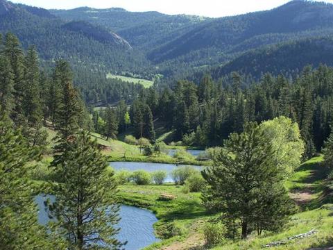 33907 Jennifer Rd, Pine, CO 80470 photo 1