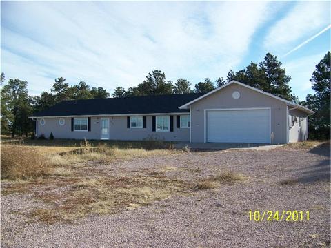 22766 Manning Dr, Elbert, CO 80106 photo 1