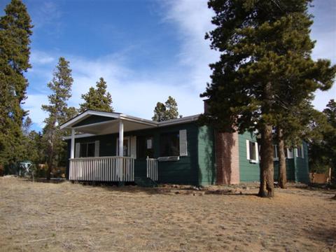 669 Royal Dr, Bailey, CO 80421 photo 1