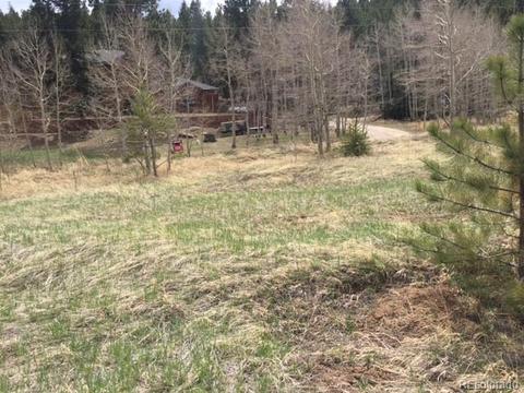 145 N Fork Rd, Grant, CO 80448 photo 5