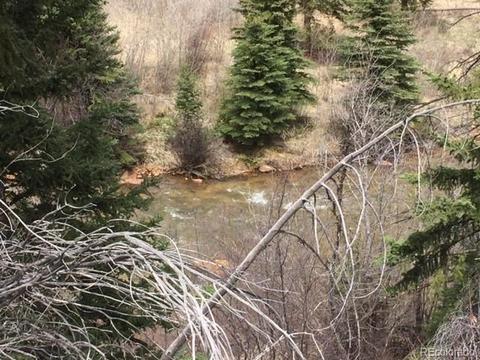 145 N Fork Rd, Grant, CO 80448 photo 6