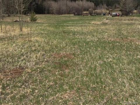 145 N Fork Rd, Grant, CO 80448 photo 8