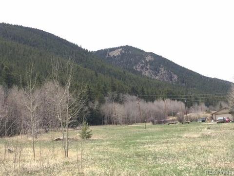 145 N Fork Rd, Grant, CO 80448 photo 9