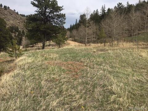 145 N Fork Rd, Grant, CO 80448 photo 2