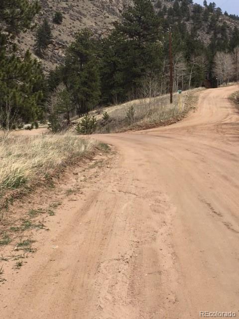 145 N Fork Rd, Grant, CO 80448 photo 10