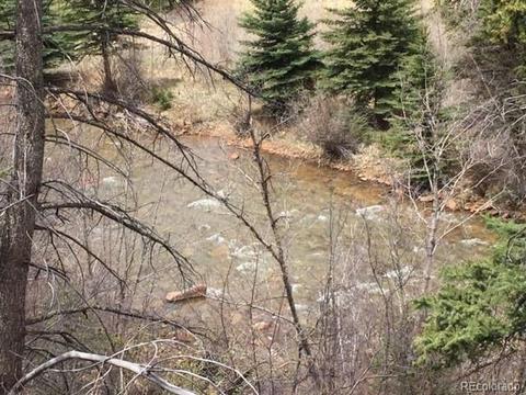 145 N Fork Rd, Grant, CO 80448 photo 7