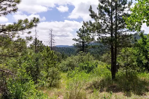 00 Goins Dr, Morrison, CO 80465 photo 6