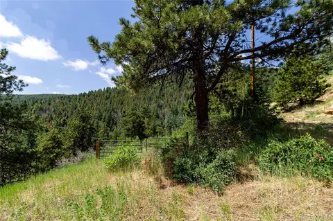 00 Goins Dr, Morrison, CO 80465 photo 17