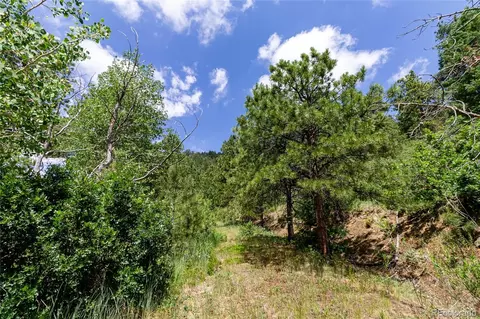 00 Goins Dr, Morrison, CO 80465 photo 9