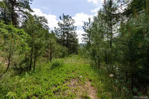 00 Goins Dr, Morrison, CO 80465 photo 11
