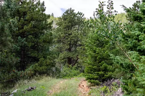 00 Goins Dr, Morrison, CO 80465 photo 4