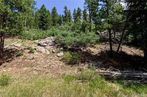 00 Goins Dr, Morrison, CO 80465 photo 13