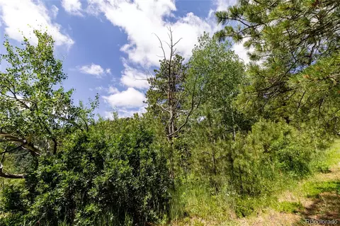 00 Goins Dr, Morrison, CO 80465 photo 5