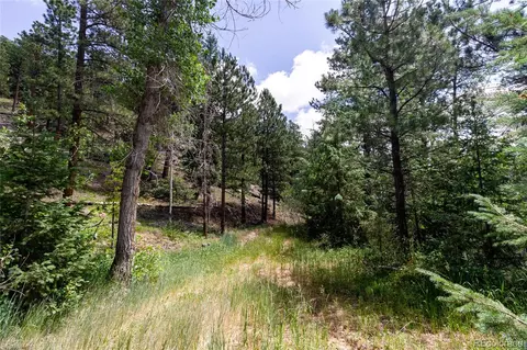 00 Goins Dr, Morrison, CO 80465 photo 16