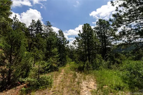 00 Goins Dr, Morrison, CO 80465 photo 12