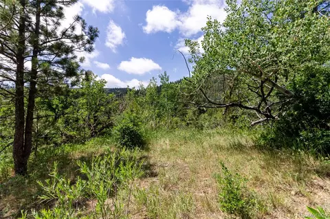 00 Goins Dr, Morrison, CO 80465 photo 7
