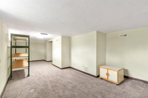 313 Sioux Ave, Simla, CO 80835 photo 18