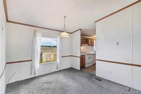 85 Aspen Dr, Divide, CO 80814 photo 14