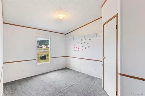 85 Aspen Dr, Divide, CO 80814 photo 18