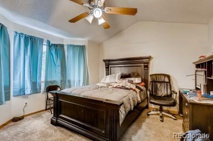 19145 Mitchell Pl, Denver, CO 80249 photo 8