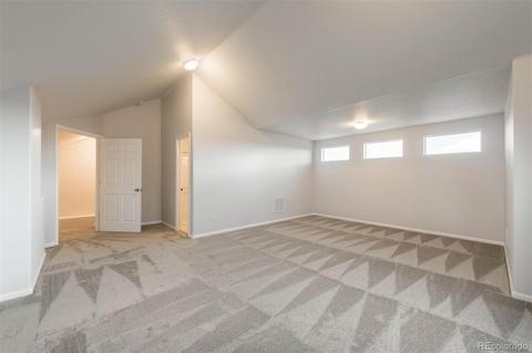 21310 E 48th Pl, Denver, CO 80249 photo 30
