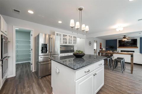 21310 E 48th Pl, Denver, CO 80249 photo 10