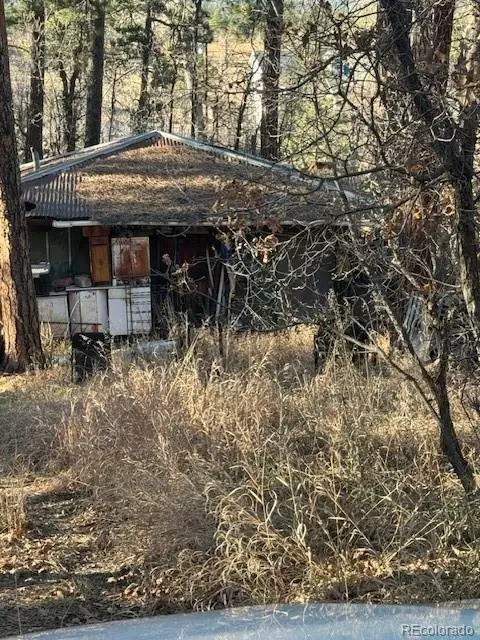 8948 S Pine Dr, Beulah, CO 81023 photo 3