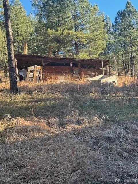8948 S Pine Dr, Beulah, CO 81023 photo 4