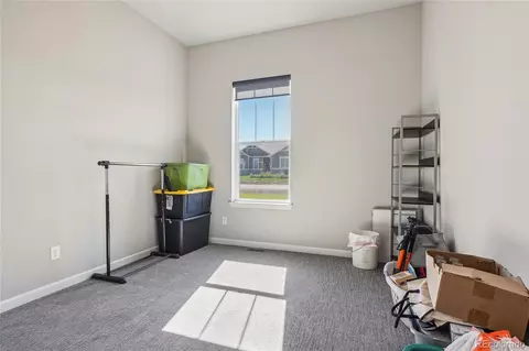 9935 E 163rd Pl, Brighton, CO 80602 photo 19