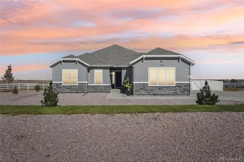 9935 E 163rd Pl, Brighton, CO 80602 photo 1
