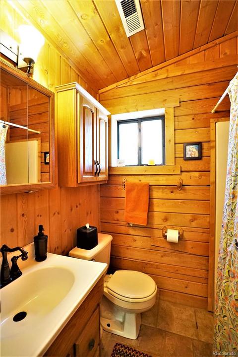 361 Aspen Dr, Bailey, CO 80421 photo 9