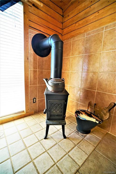 361 Aspen Dr, Bailey, CO 80421 photo 5