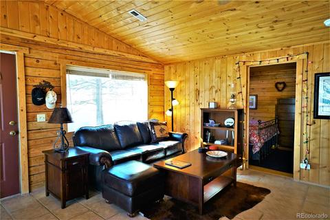 361 Aspen Dr, Bailey, CO 80421 photo 3